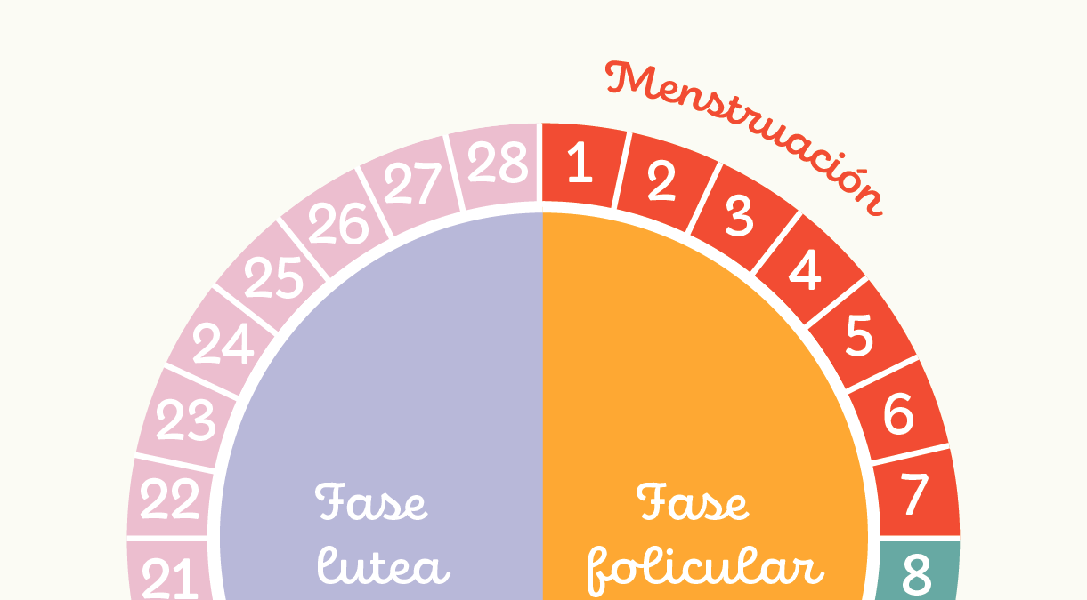 ¿Qué es el ciclo menstrual?